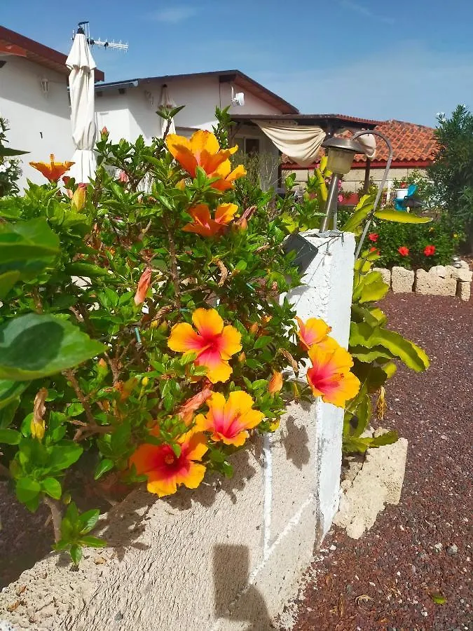 Villa Daita 1 Granadilla De Abona 0*,  Španělsko